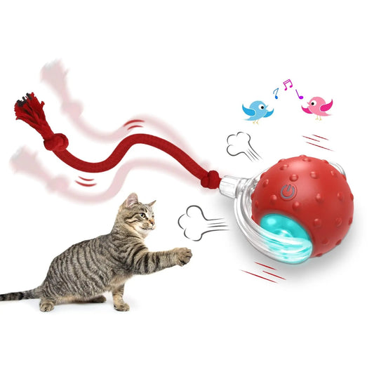 Interactive Cat Rolling Ball - Automatic Rechargeable Toy